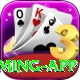 Y888 VIP Gaming App